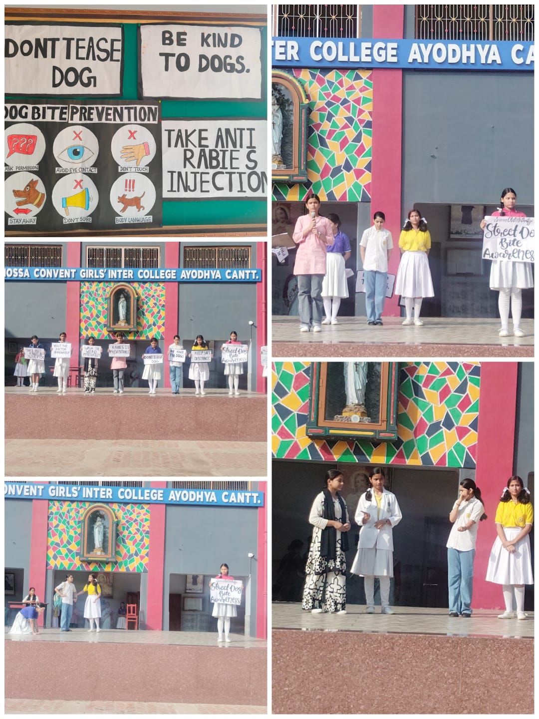 Street Dog Awareness Assembly 